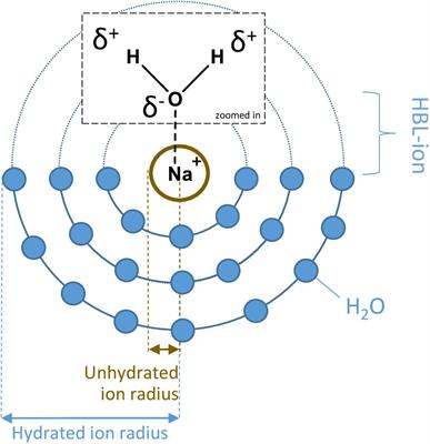 Physicochemical Salt Solution Parameters Limit the Survival of Planococcus halocryophilus in Martian Cryobrines